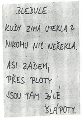2021 Básnička 1